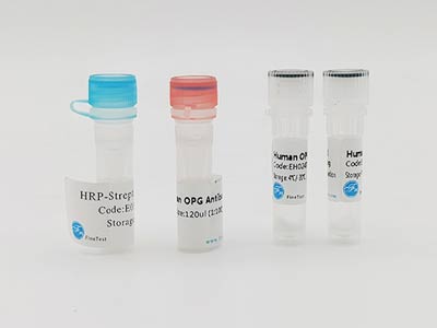 大鼠8羥基脫氧鳥(niǎo)苷(8-OHdG)elisa試劑盒