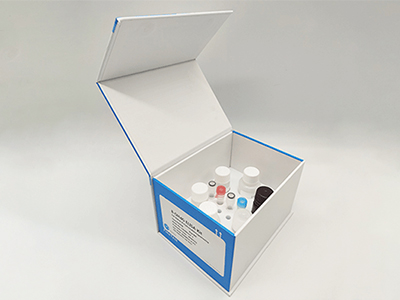 雞胱天蛋白酶8(CASP8)酶聯(lián)免疫吸附測定(elisa)試劑盒