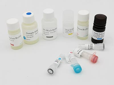 小鼠活化素A(ACV-A)elisa試劑盒