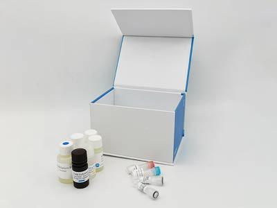 小鼠唾液淀粉酶α1(AMY1)elisa試劑盒