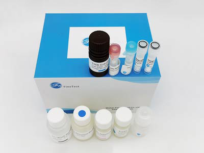 倉鼠白介素2(IL-2)酶聯(lián)免疫吸附測定(elisa)試劑盒