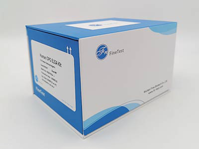 倉鼠γ干擾素(IFN-γ)酶聯(lián)免疫吸附測定(elisa)試劑盒