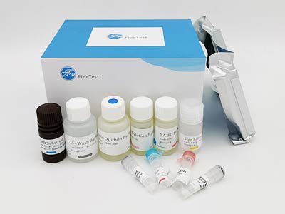 綿羊促腎上皮質(zhì)激素釋放激素(Corticoliberin)酶聯(lián)免疫(elisa)試劑盒