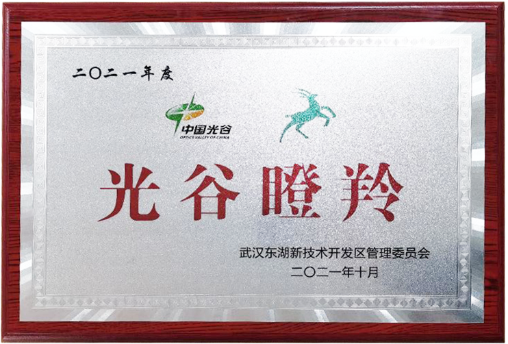 瞪羚企業(yè)