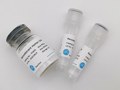 小鼠IL-27重組蛋白