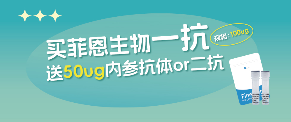 菲恩生物抗體促銷(xiāo)