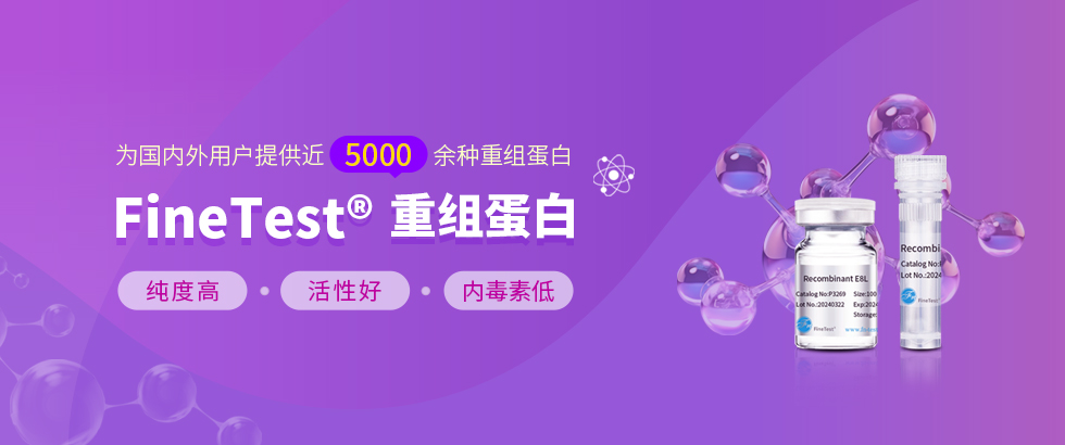 重組蛋白