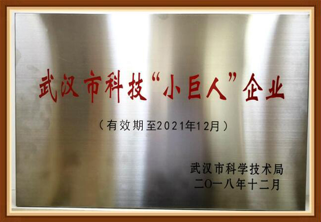 科技小巨人企業(yè)