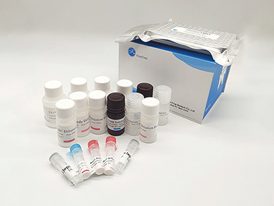 犬免疫球蛋白M(IgM)酶聯(lián)免疫吸附測定(elisa)試劑盒