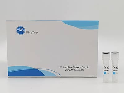 犬免疫球蛋白E(IgE)酶聯(lián)免疫吸附測定(elisa)試劑盒