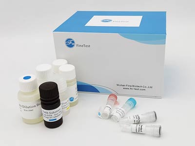 雞堿性成纖維細胞生長因子(bFGF/FGF2)酶聯(lián)免疫吸附測定(elisa)試劑盒