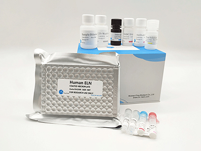 倉鼠腫瘤壞死因子α(TNF-α)酶聯(lián)免疫吸附測定(elisa)試劑盒