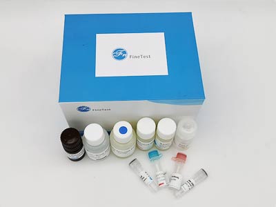 馬胰島素樣生長(zhǎng)因子1(IGF-1)酶聯(lián)免疫吸附測(cè)定(elisa)試劑盒