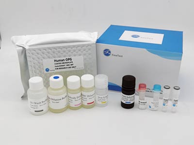 猴脂聯(lián)素受體1(ADIPOR1)酶聯(lián)免疫吸附測定(elisa)試劑盒