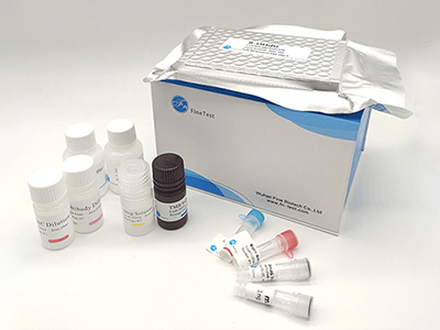 猴載脂蛋白C3(ApoC3)酶聯(lián)免疫吸附測定(elisa)試劑盒