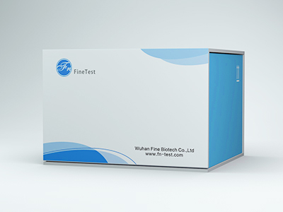 豚鼠內(nèi)皮素1(ET-1)酶聯(lián)免疫吸附測(cè)定(elisa)試劑盒