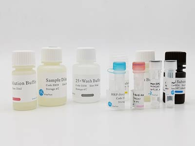 豚鼠叉頭框蛋白P3(FOXP3)酶聯(lián)免疫吸附測(cè)定(elisa)試劑盒