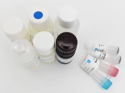 雞轉(zhuǎn)鐵蛋白(TRF)酶聯(lián)免疫吸附測定(elisa)試劑盒