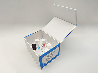 綿羊促甲狀腺素(TSH)酶聯(lián)免疫(elisa)試劑盒