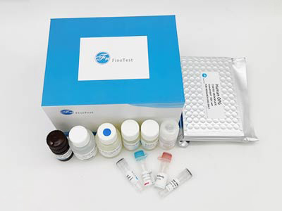 牛熱休克蛋白70(HSP-70)酶聯(lián)免疫(elisa)試劑盒