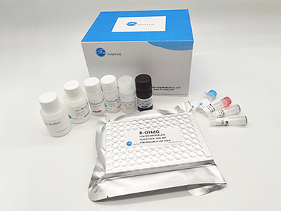 牛骨鈣素(Osteocalcin)酶聯(lián)免疫(elisa)試劑盒