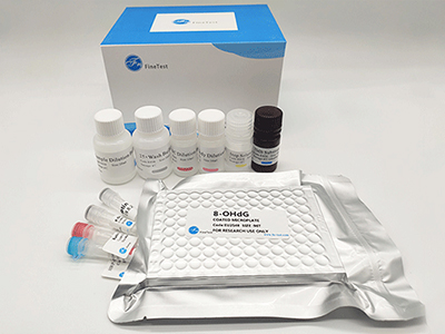 牛銅鋅超氧化物岐化酶(Cu/Zn-SOD/SOD1)酶聯(lián)免疫(elisa)試劑盒