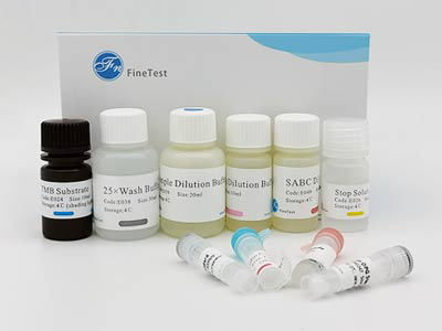 猴白蛋白(ALB)酶聯(lián)免疫(elisa)試劑盒