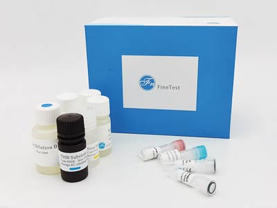 猴凝聚素(CLU)酶聯(lián)免疫(elisa)試劑盒