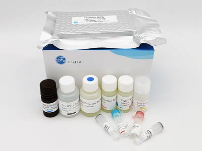 牛β-乳球蛋白(Beta-LG)酶聯(lián)免疫(elisa)試劑盒