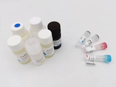 兔血纖蛋白原降解產(chǎn)物(FDP)酶聯(lián)免疫(elisa)試劑盒