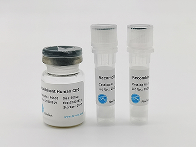 人源RNase 7重組蛋白
