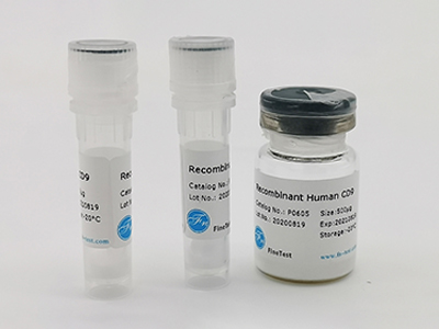 人源Myoglobin重組蛋白