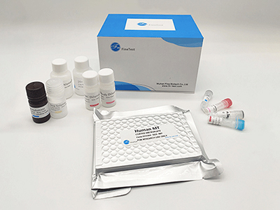 大鼠糖原合成酶激酶3α(GSK3α)酶聯(lián)免疫(elisa)試劑盒