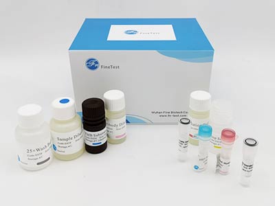 豬膽囊收縮素(CCK)酶聯(lián)免疫(elisa)試劑盒