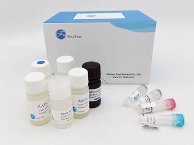 豬皮質(zhì)醇(Cortisol)酶聯(lián)免疫(elisa)試劑盒