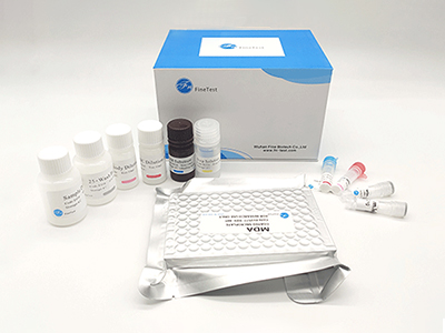 倉鼠集落刺激因子(CSF)酶聯(lián)免疫(elisa)試劑盒