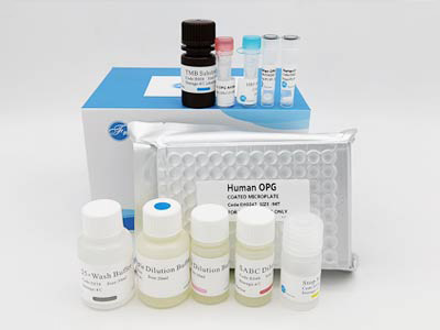 人全反鈷胺素(HoloTC)酶聯(lián)免疫(elisa)試劑盒