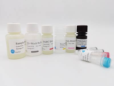 人5-羥色胺受體1A(HTR1A)酶聯(lián)免疫(elisa)試劑盒