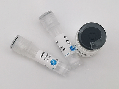 人源E2F7重組蛋白