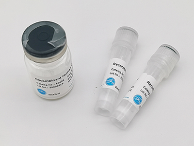人源EIF4G1重組蛋白