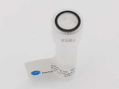 抗CD80抗體