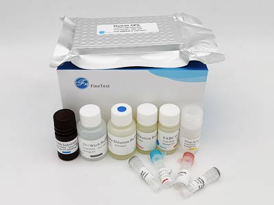 人抗腫瘤壞死因子α抗體(TNF-α-Ab)酶聯(lián)免疫elisa試劑盒