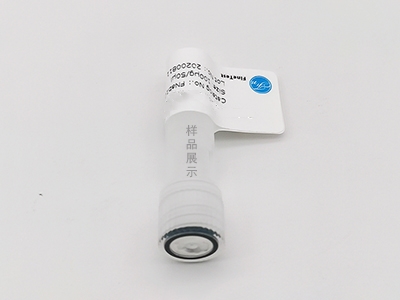 抗alpha Tubulin抗體
