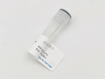抗Tubulin-beta抗體